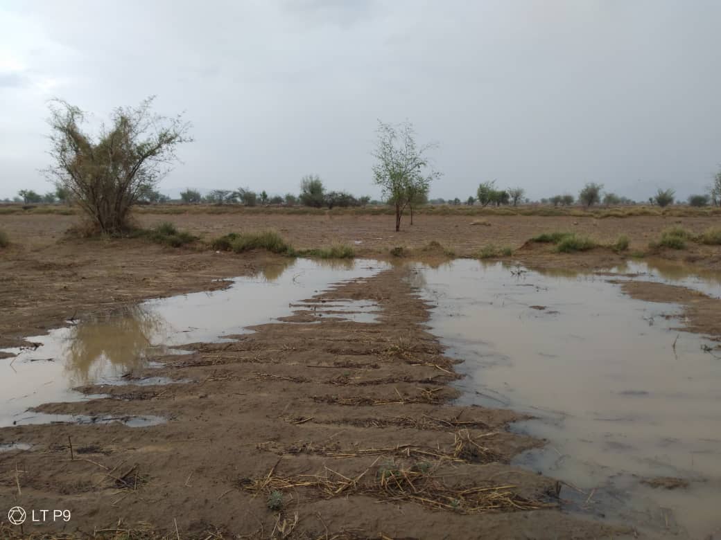 صورة من حجة