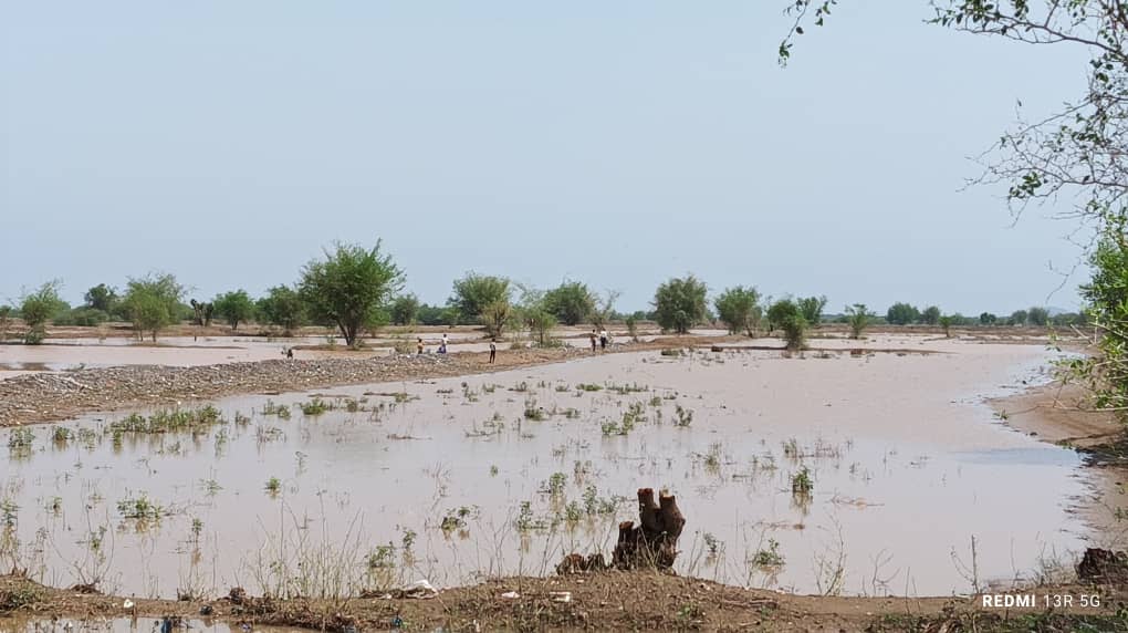 صورة من محافظة حجة خلال أمطار اغسطس الجاري