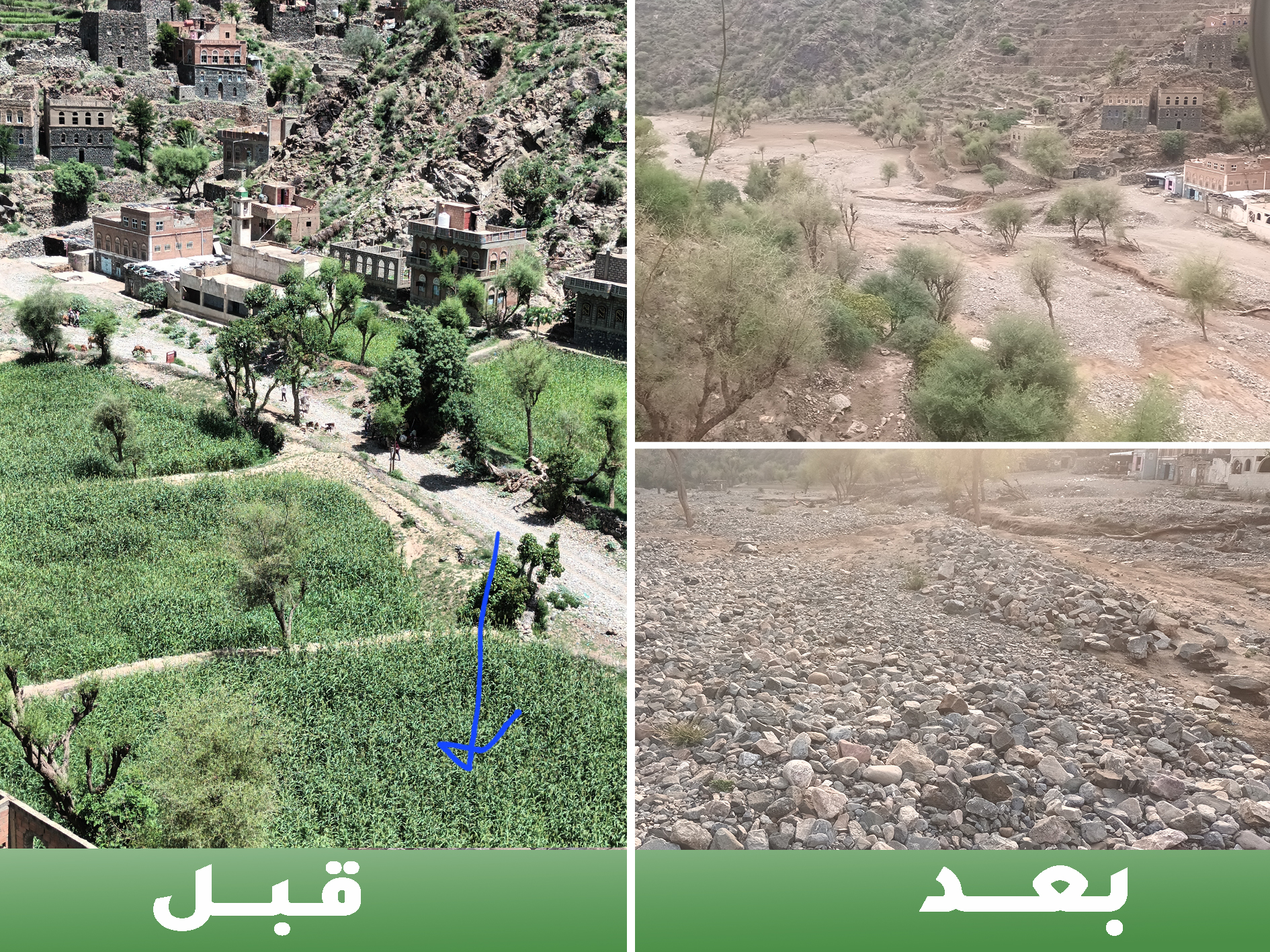 تأثير السيول على اراضي المزارعين في مقبنة-تعز
